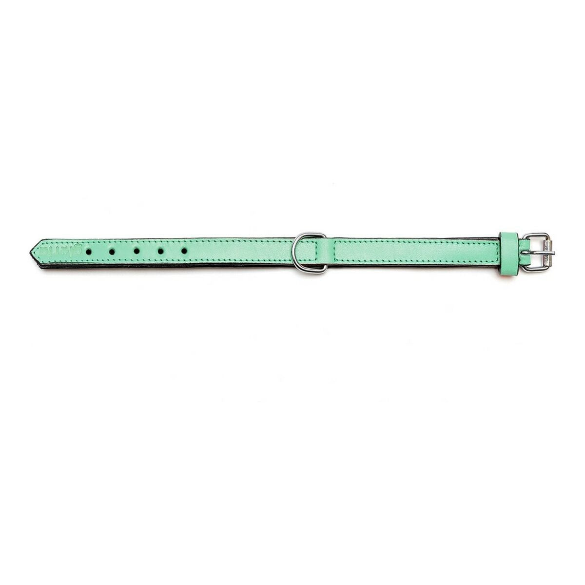 Dog collar Gloria Padded Green