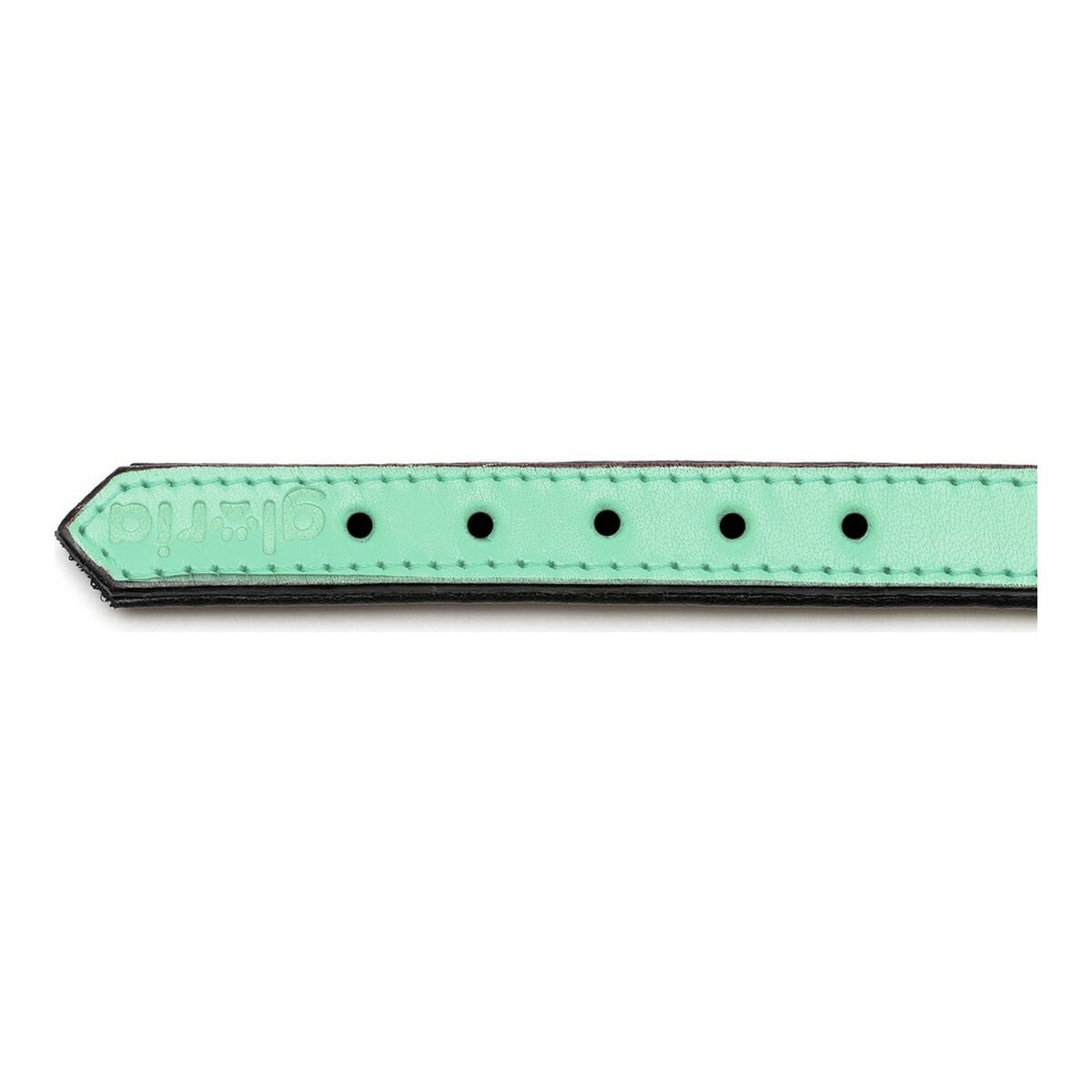 Dog collar Gloria Padded Green