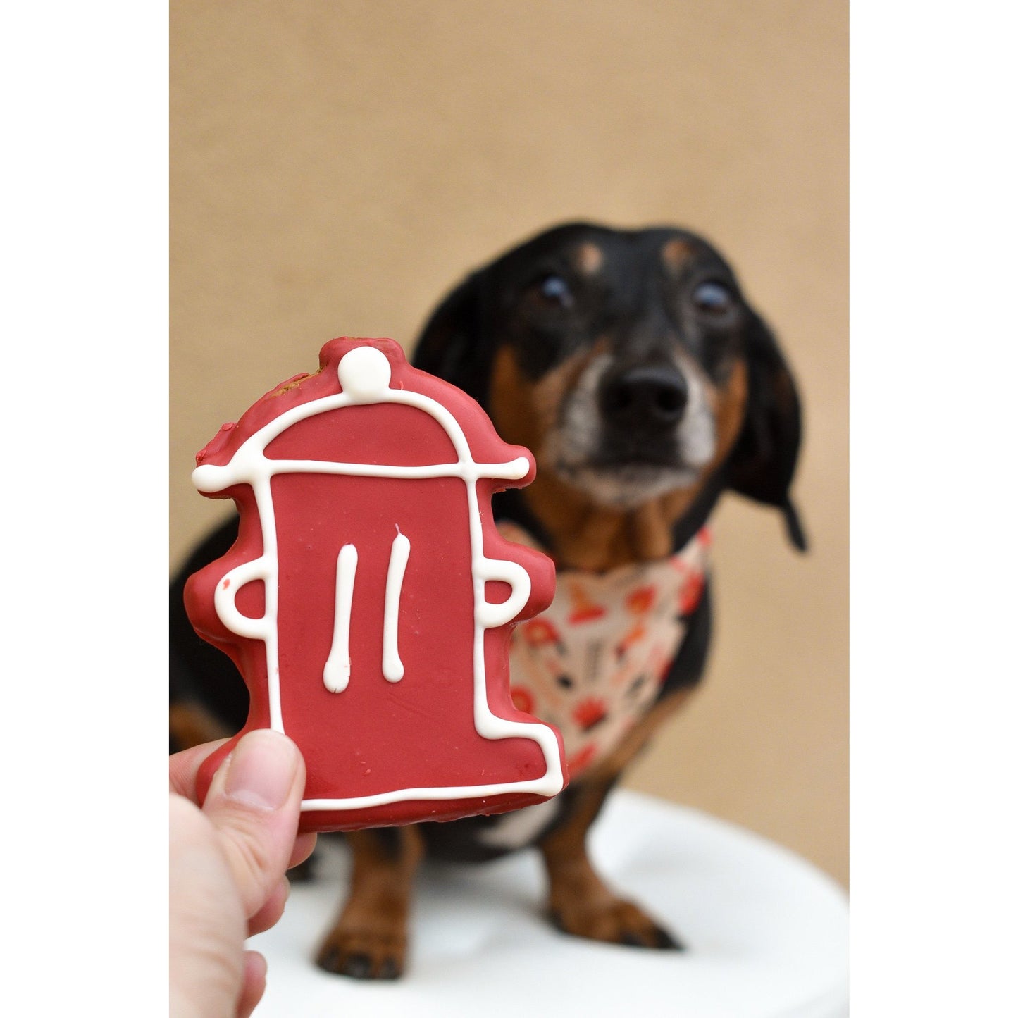 Šatka s ohnivým psom