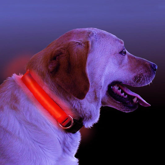 LED svietiaci obojok pre psa