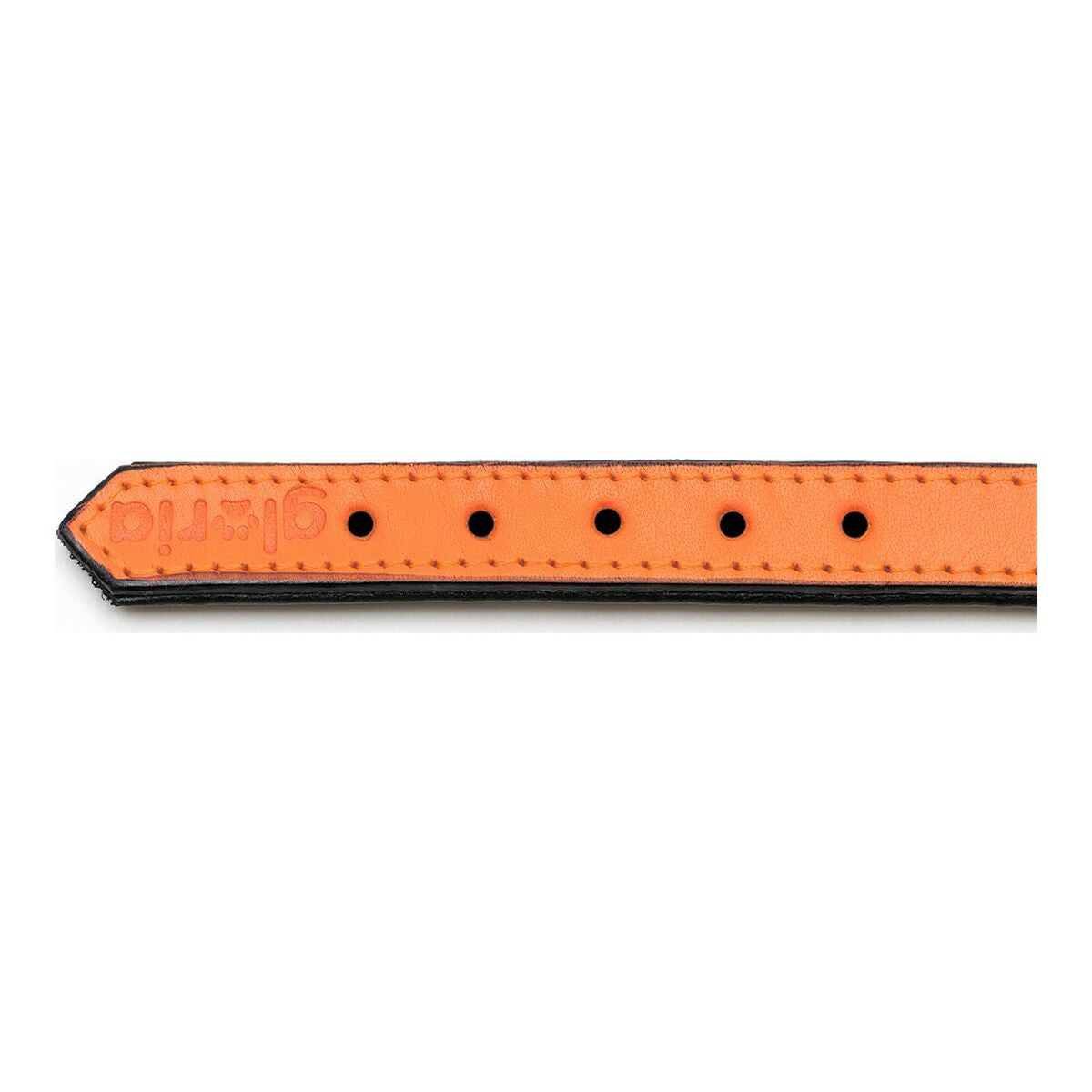 Obojok pre psa Gloria Padded Orange