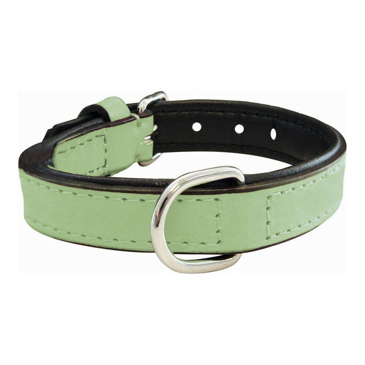 Dog collar Gloria Padded Green
