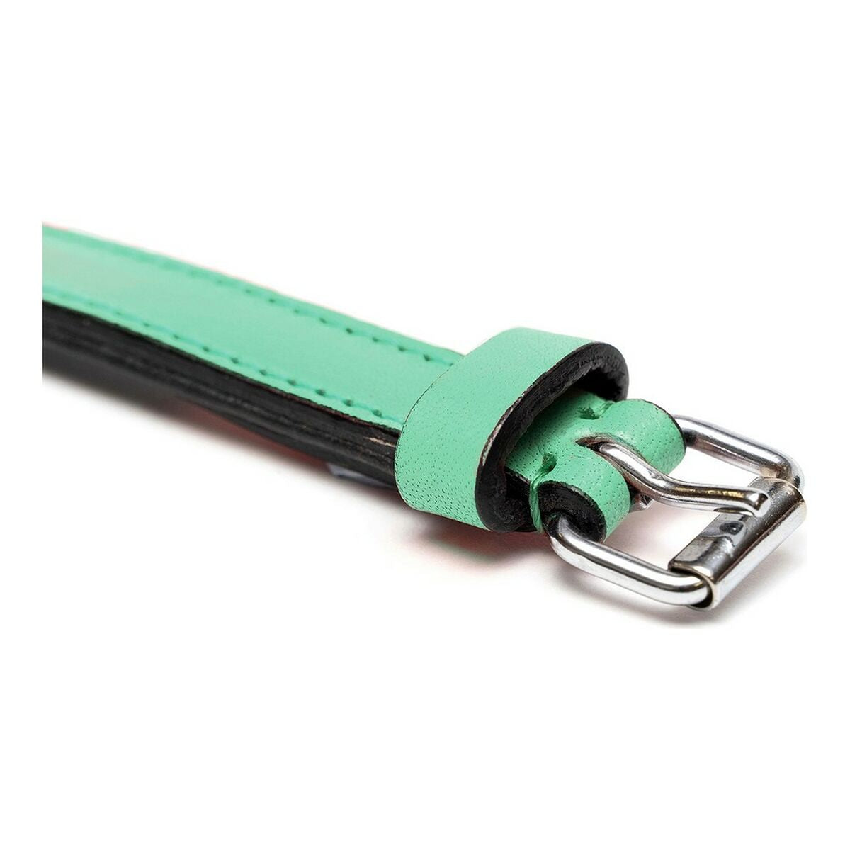 Dog collar Gloria Padded Green