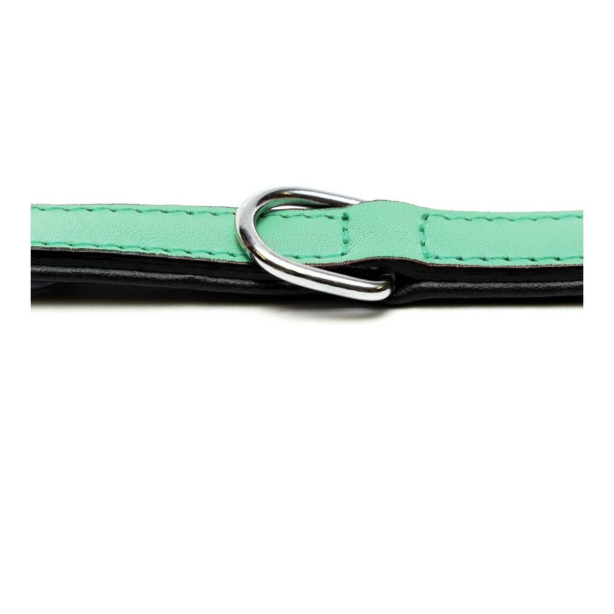 Dog collar Gloria Padded Green