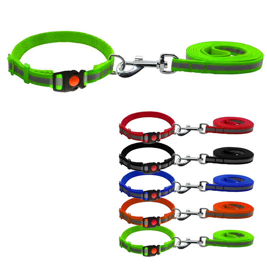 Reflective Nylon Collar Belt and Leash Neck Collar For Dog