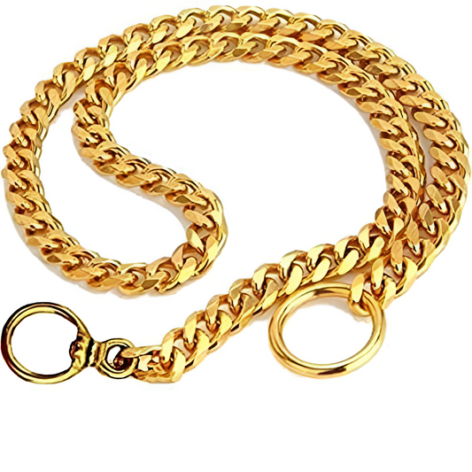 Dog Training Brass Golden Choker Chain Collar